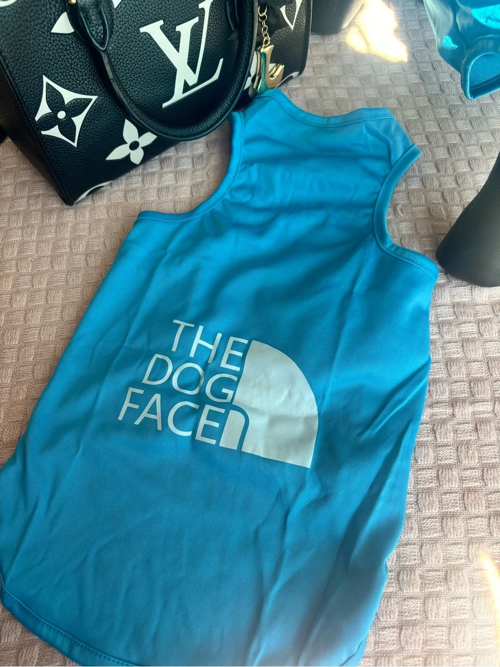 GORGEOUS SKY BLUE XXLARGE PET TSHIRT 🩵🐾😍 THE DOG FACE ❗️